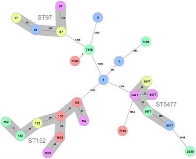 Genetic Characterization of Staphylococcus aureus From Subclinical Mastitis Cases in Dairy Cows in Rwanda